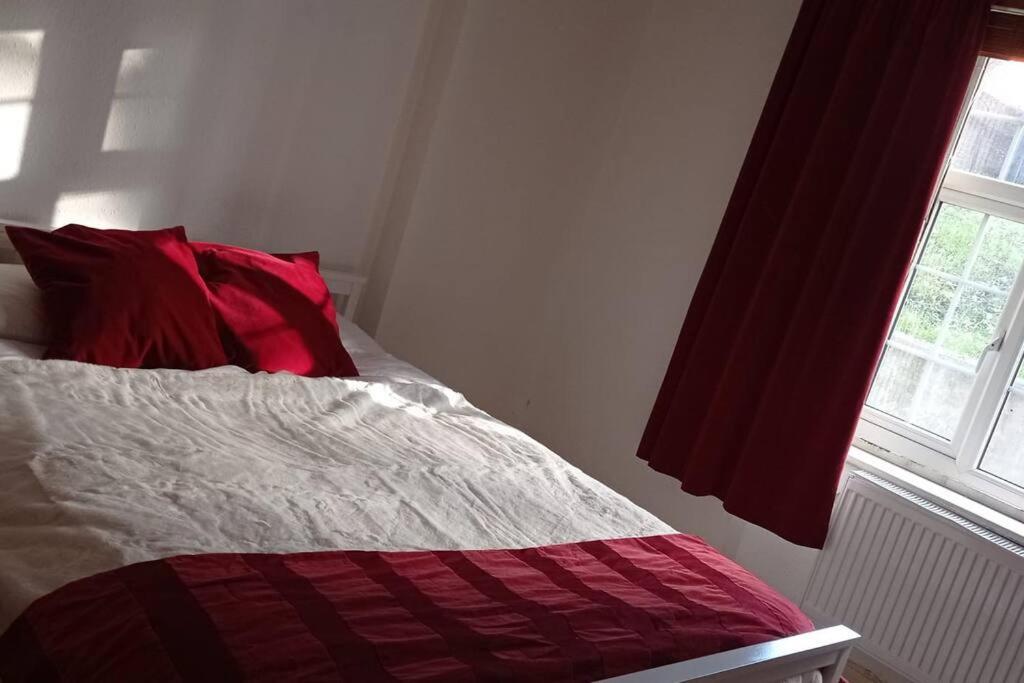Sunny And Spacious Flat In Nw3 Лондон Экстерьер фото